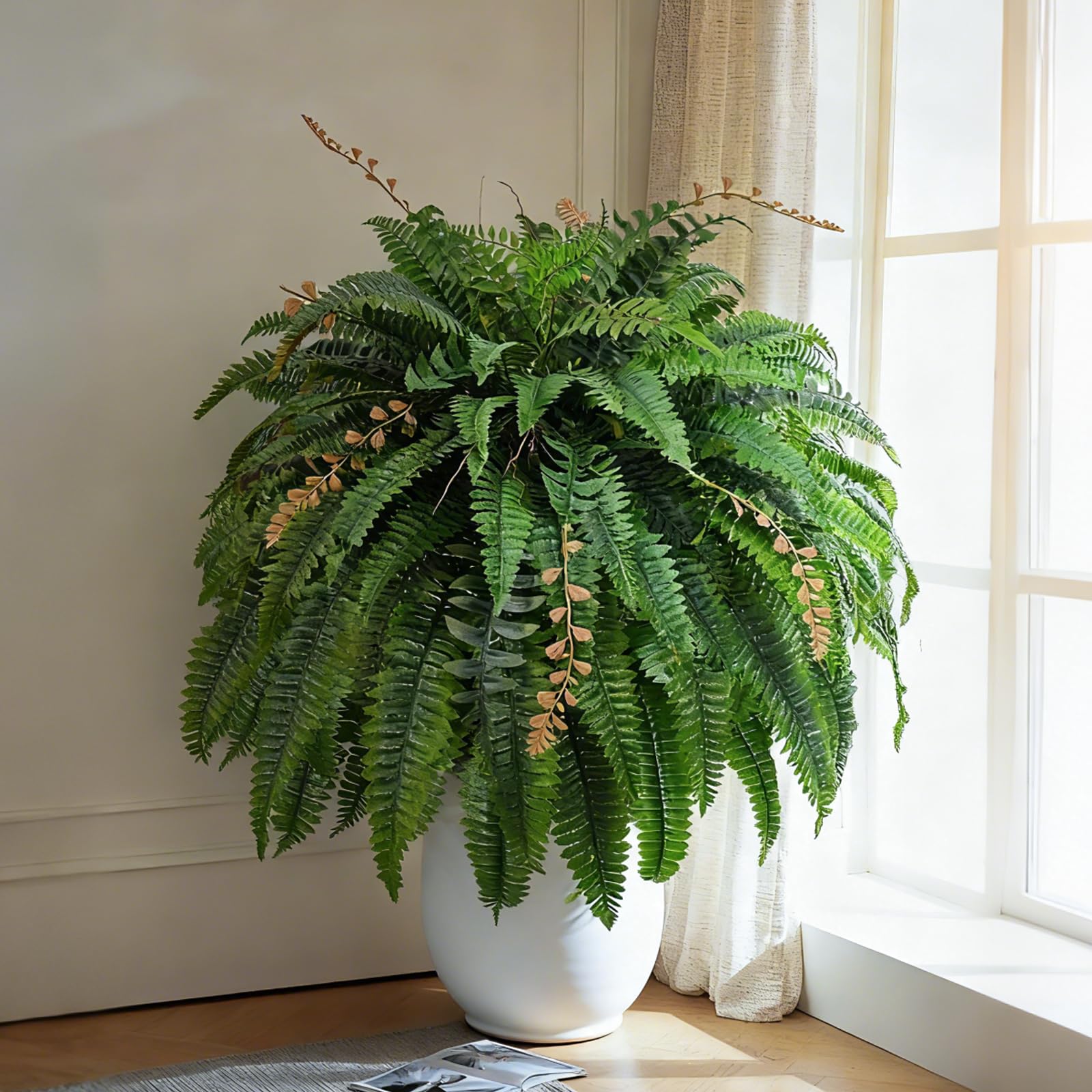 Cherica fern in a basket adds instant greenery to balconies.