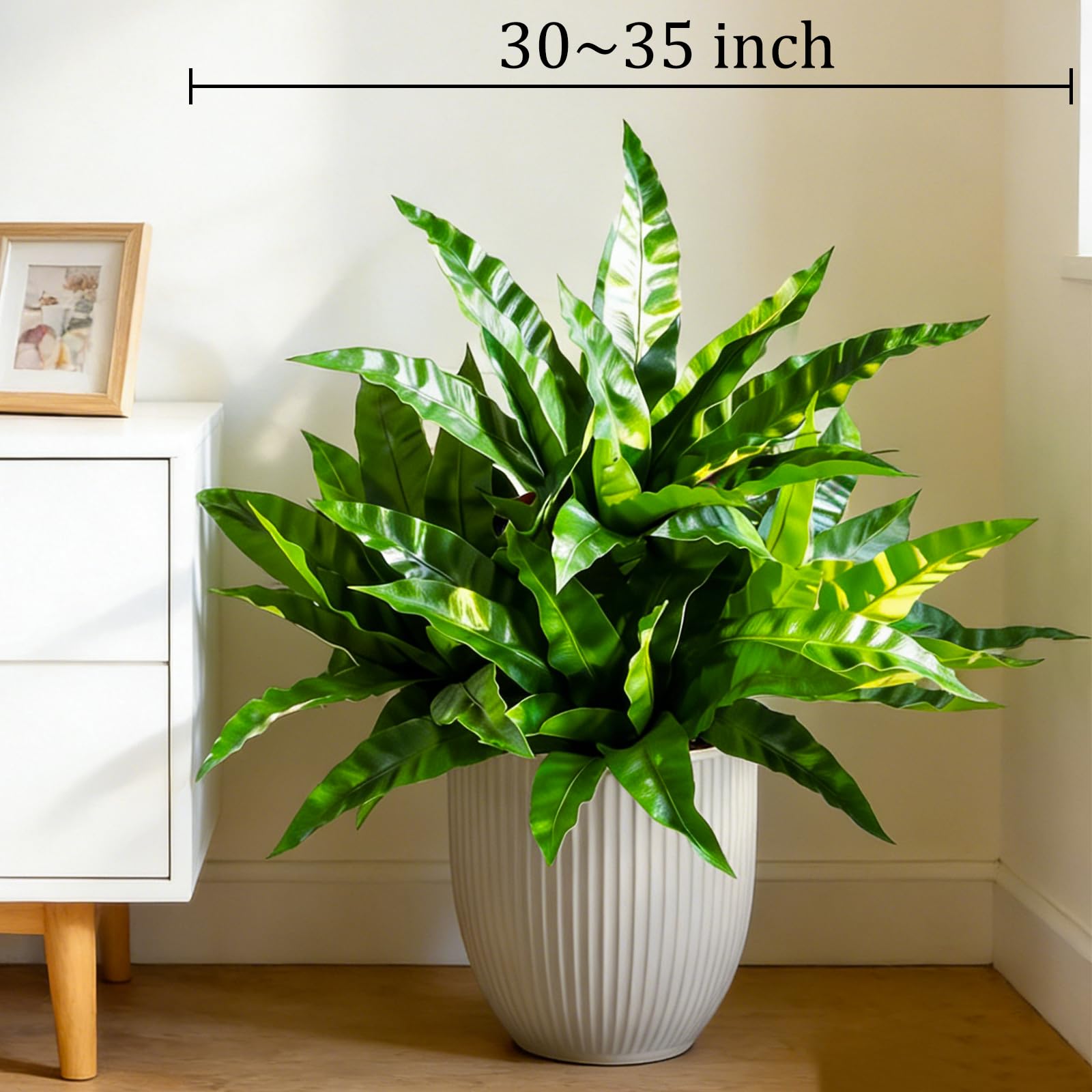 Cherica versatile decor for indoor and outdoor spaces.