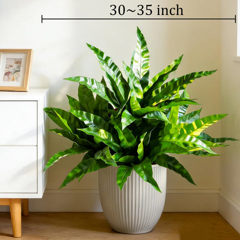 Cherica versatile decor for indoor and outdoor spaces.