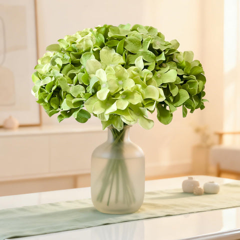Cherica indoor outdoor-friendly hydrangea for porch, patio, or living room.