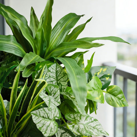 Cherica UV-resistant outdoor greenery stays vibrant under sun and weather.