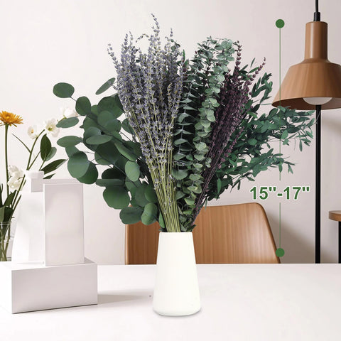 Chflost preserved eucalyptus leaves green natural look for walls and shelves.
