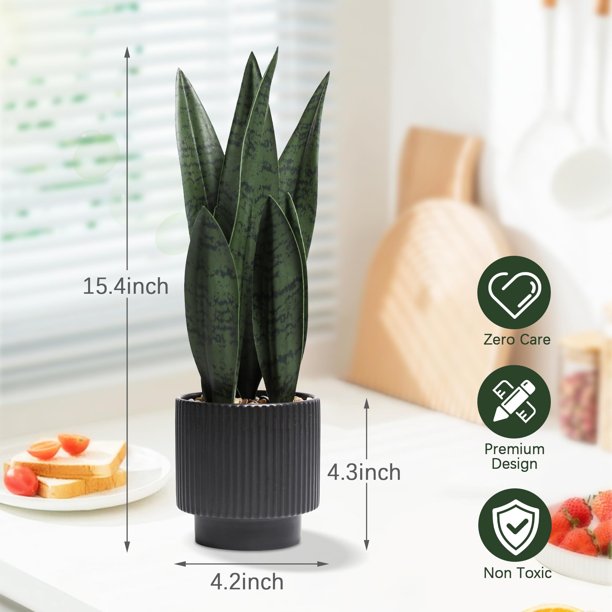 Chonsun snake plant in black ceramic pot close-up shows lifelike texture.