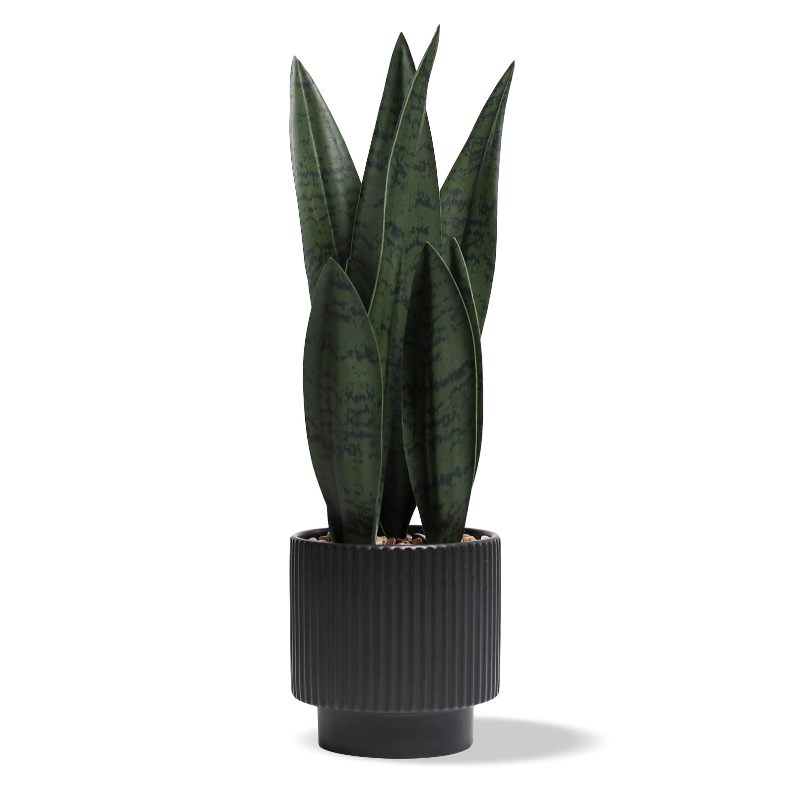 Chonsun Sansevieria snake plant in black ceramic pot on desk, effortless greenery.