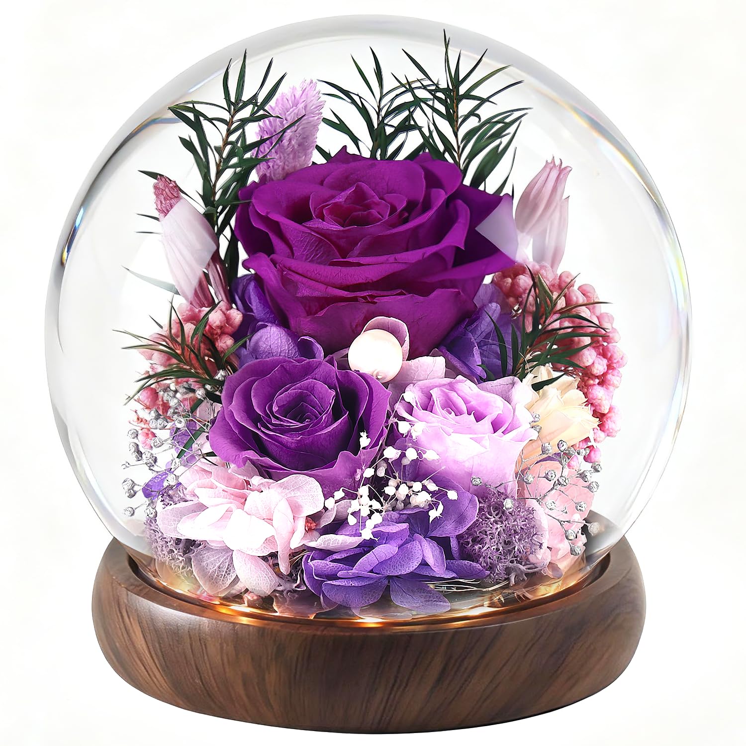 ChosiaRose 3-5 year preserved rose dome display