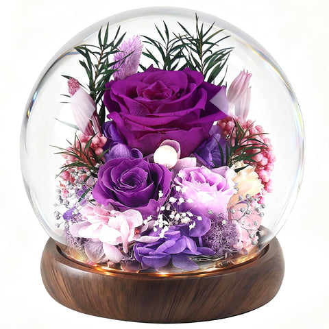 ChosiaRose 3-5 year preserved rose dome display