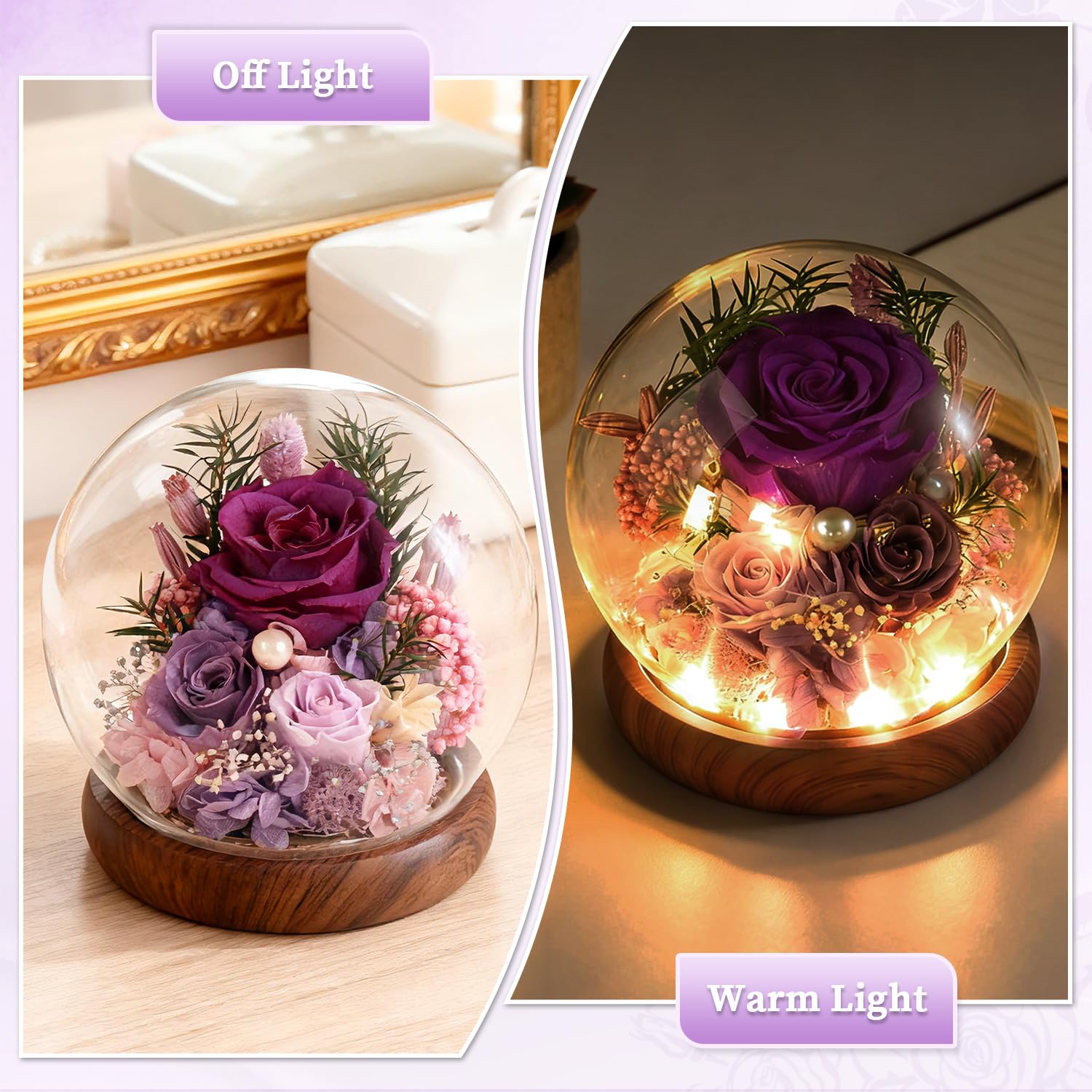 ChosiaRose preserved rose inside a dust-protected dome
