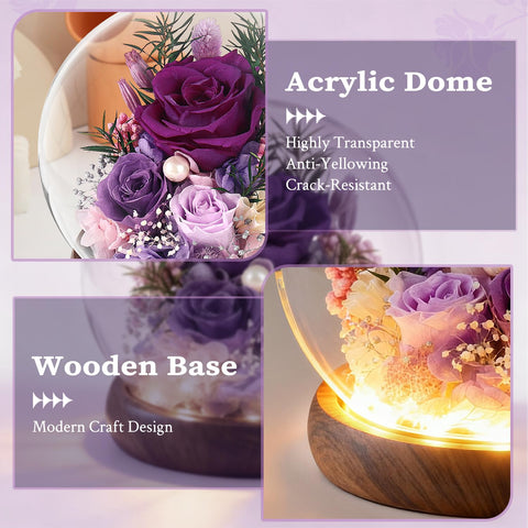 ChosiaRose purple rose in a gift dome enhancing special occasions