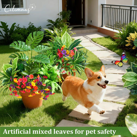 Cilimnas outdoor pet-friendly plant textures ideal for safe patio play