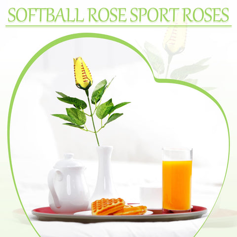 Cindeer softball rose brightens rooms like living room, bedroom, or office.