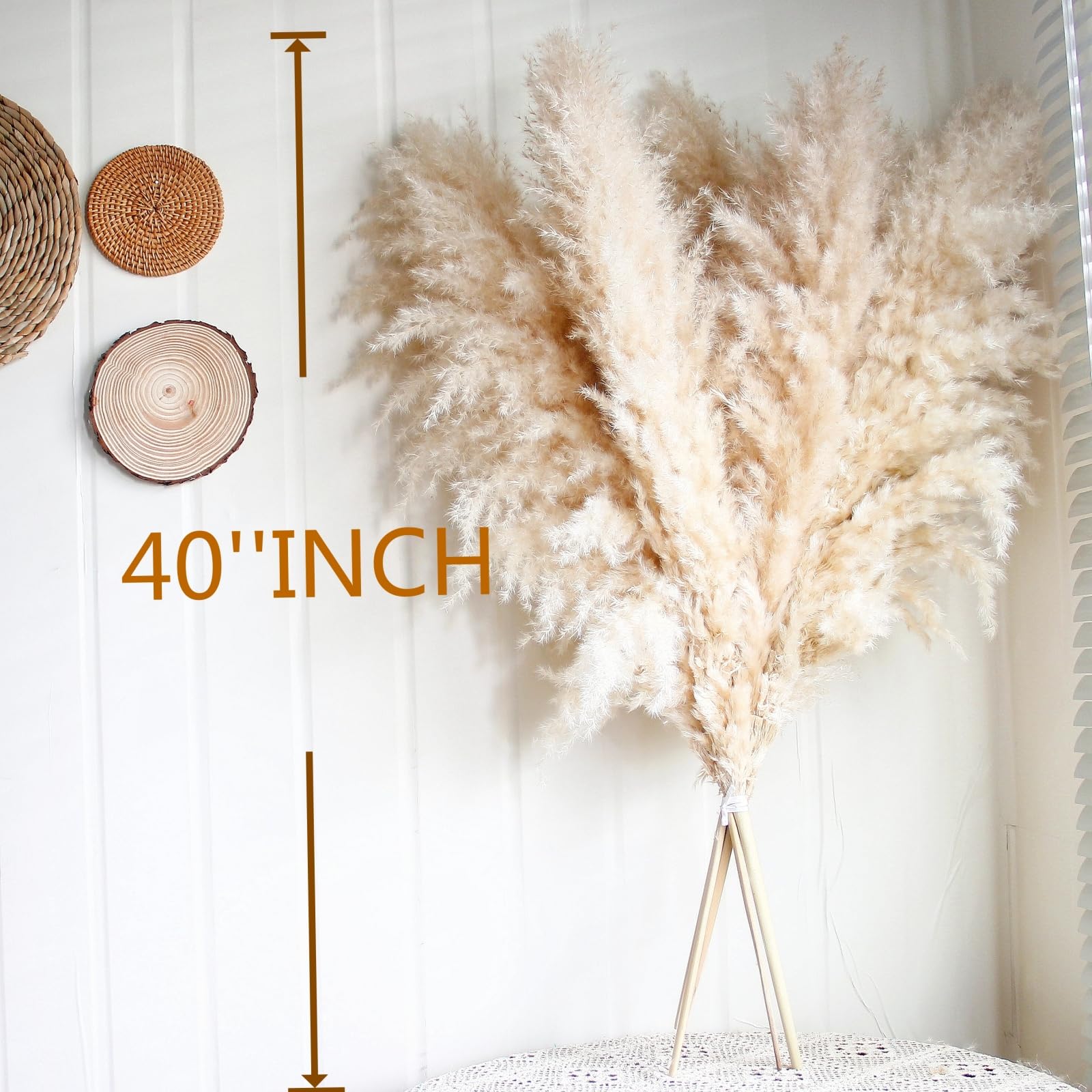 CKBT pampas grass decor enhances modern living rooms with natural texture.