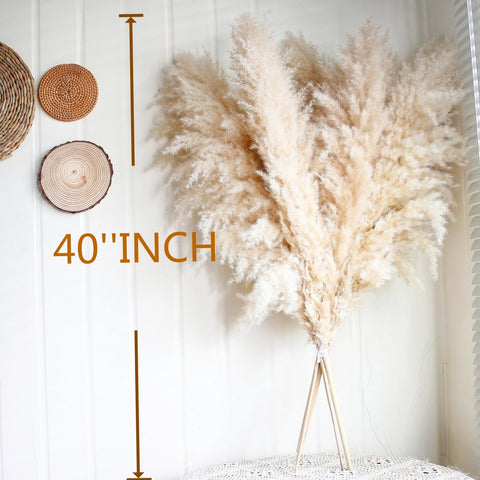 CKBT pampas grass decor enhances modern living rooms with natural texture.