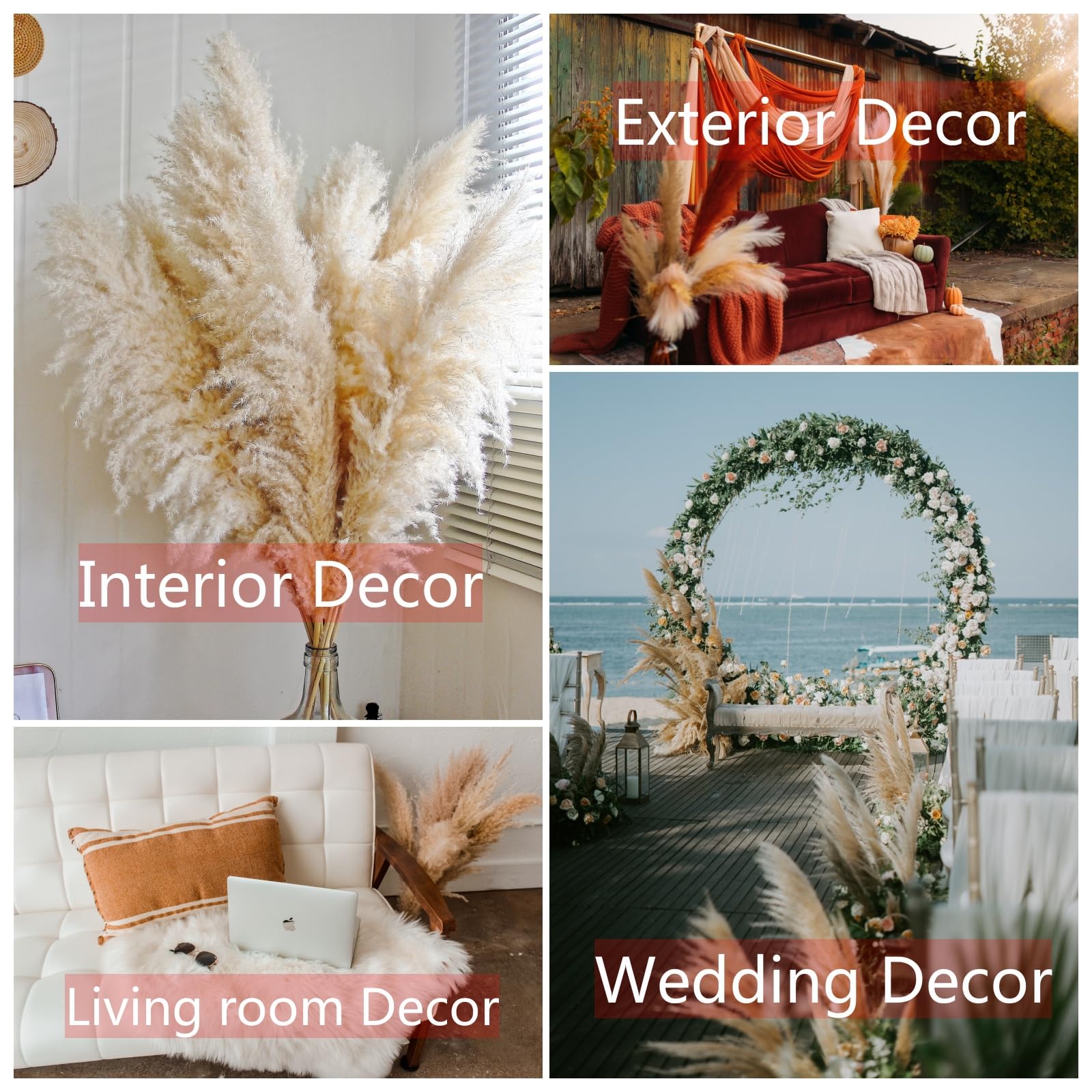 CKBT pampas grass wall decor ideas for stylish gallery-inspired setups.