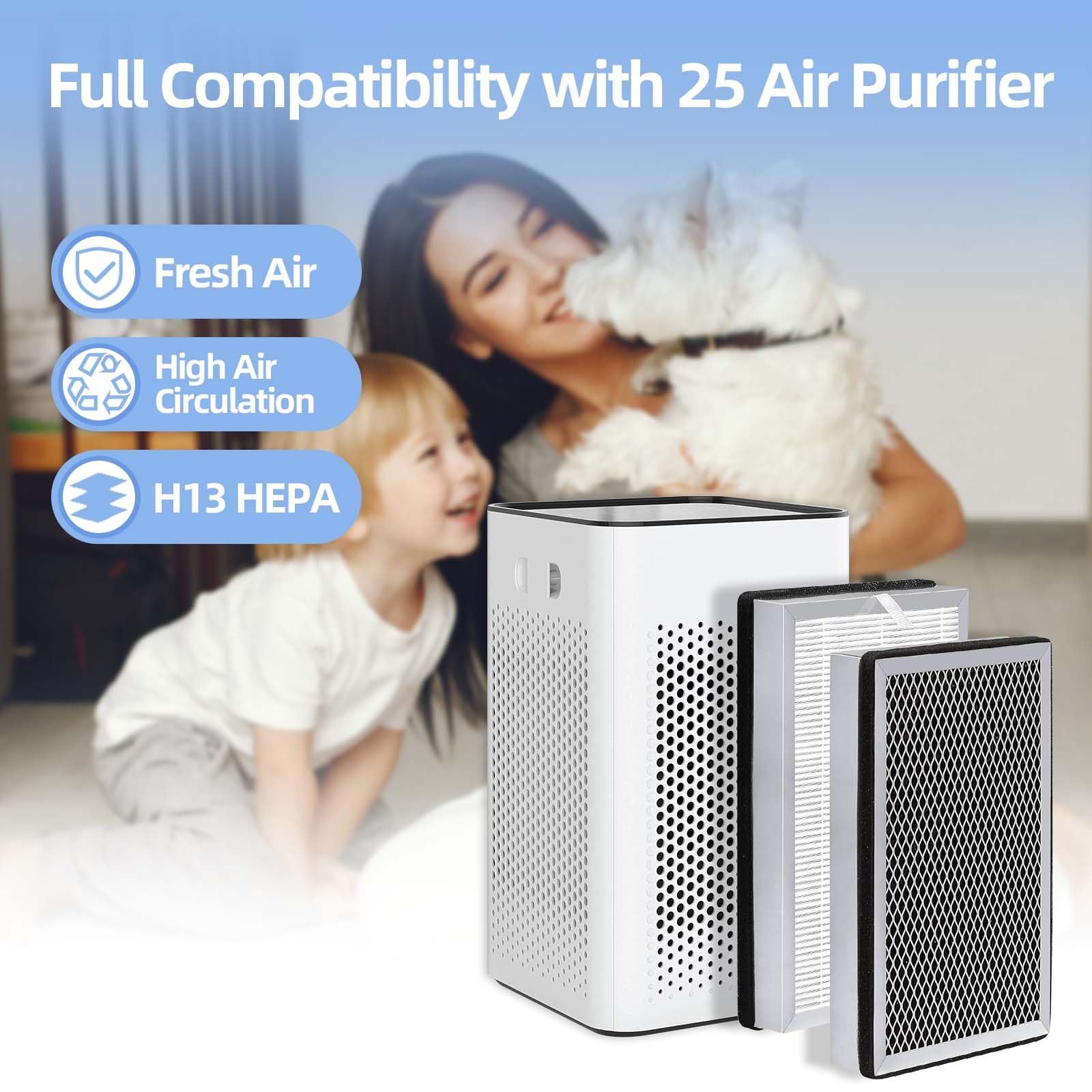 Cleangela MA-25 filter cross-section, illustrating 3-in-1 filtration that captures particles and odors.