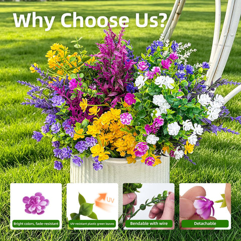 CLEANGOR color variations palette enables layered, vibrant arrangements.