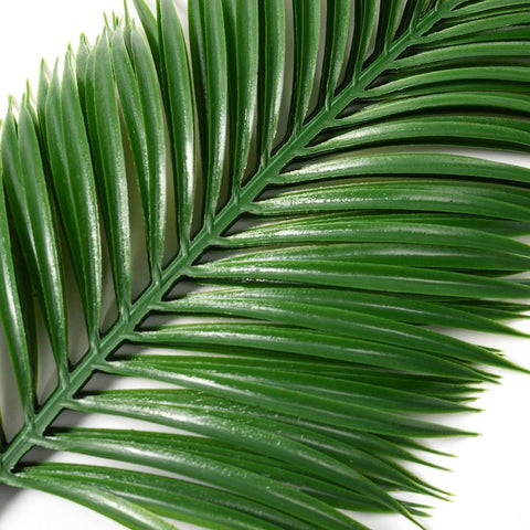 CLONG eco-friendly plastic leaves provide durable, reusable decoration.