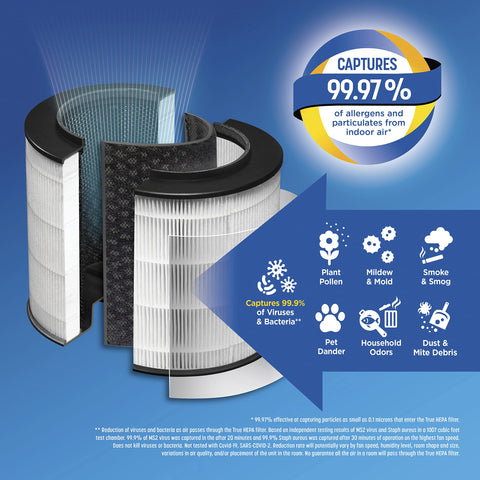 Clorox filter installed in a medium room purifier.