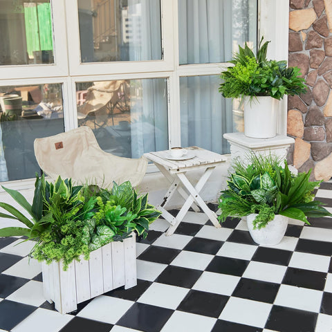 Clycaloor care tip: adjust leaves for best fullness