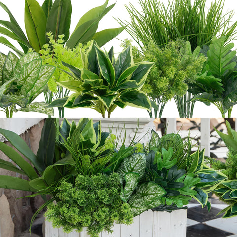 Clycaloor outdoor boxwood stems for a natural courtyard look