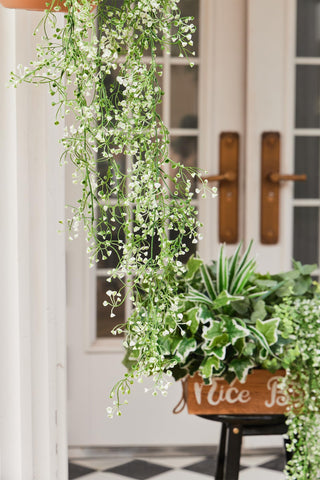 Clycaloor durable boxwood set designed to endure outdoor conditions