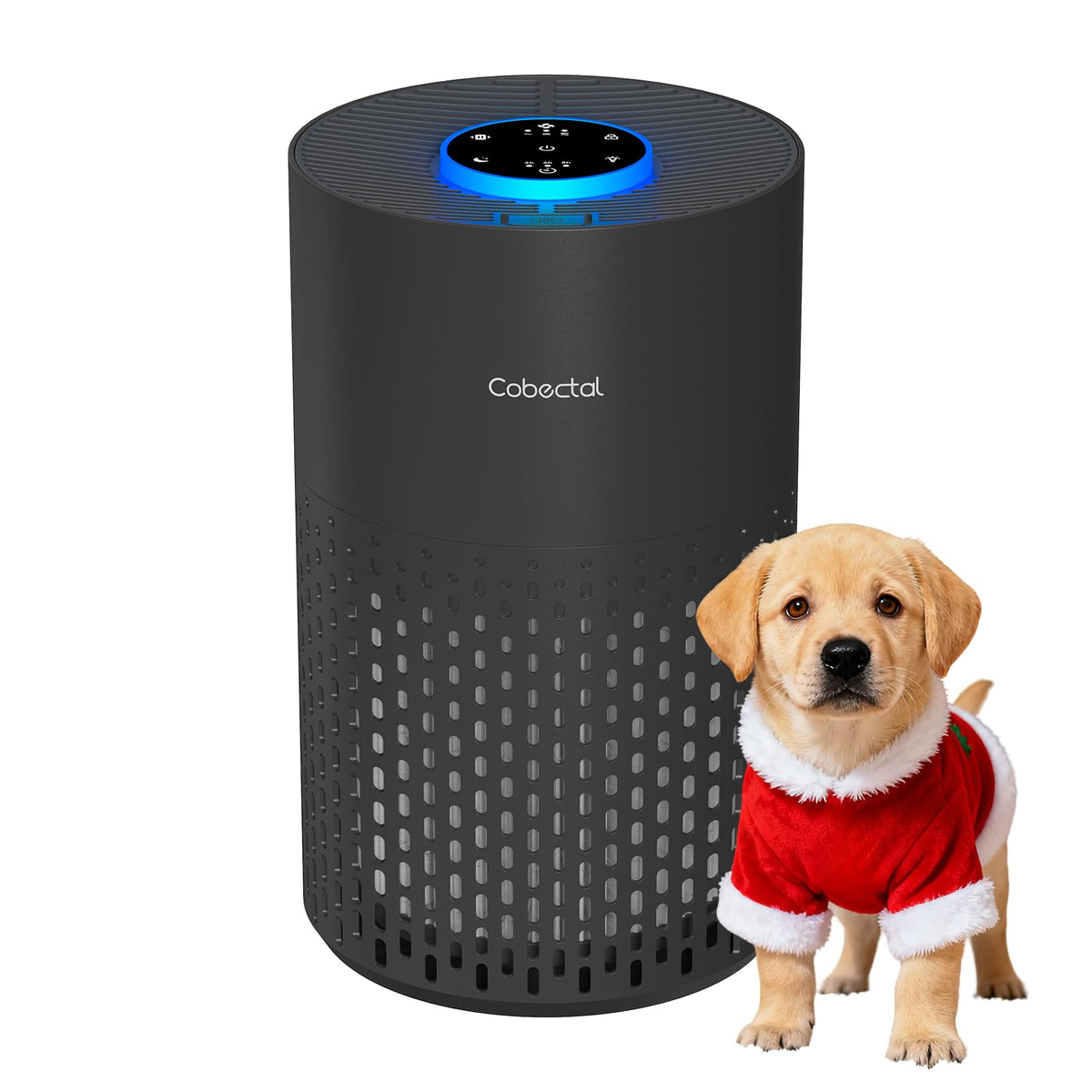 Cobectal air purifier on a bedside table delivering quiet, clean air for better sleep.