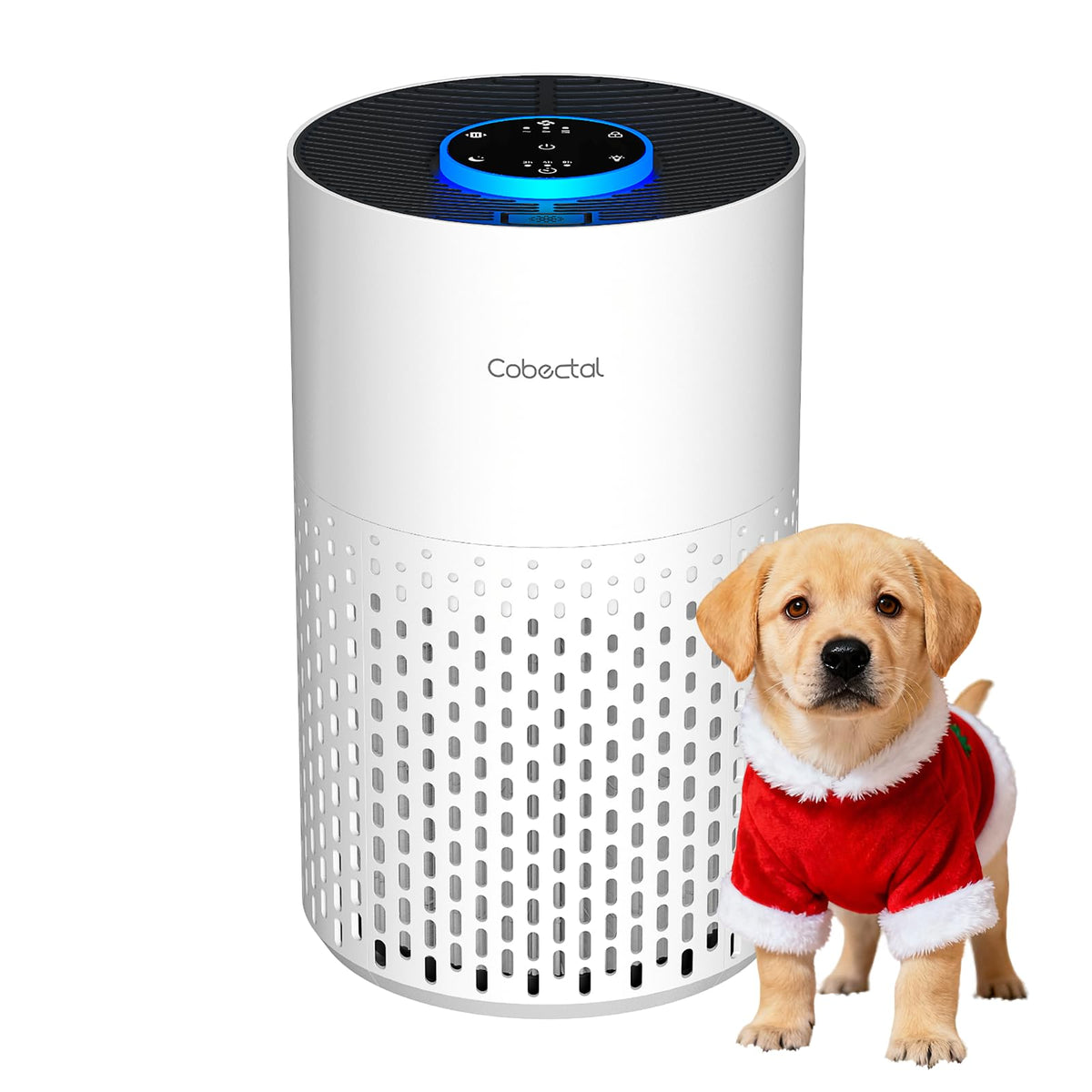Cobectal ZQA-4000B front view shows compact design ideal for small spaces