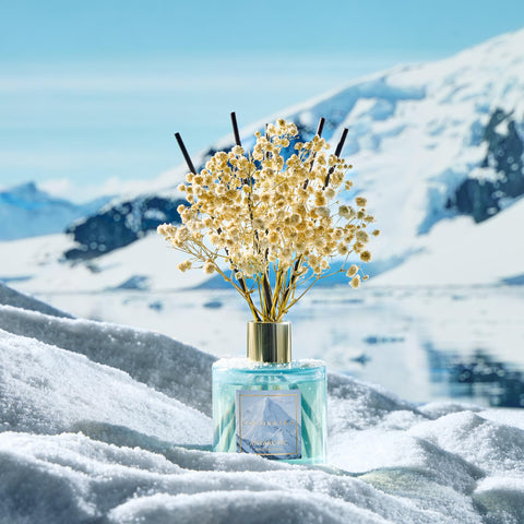 Premium Antarctic fragrance oil provides a balanced aroma with citrus and spice