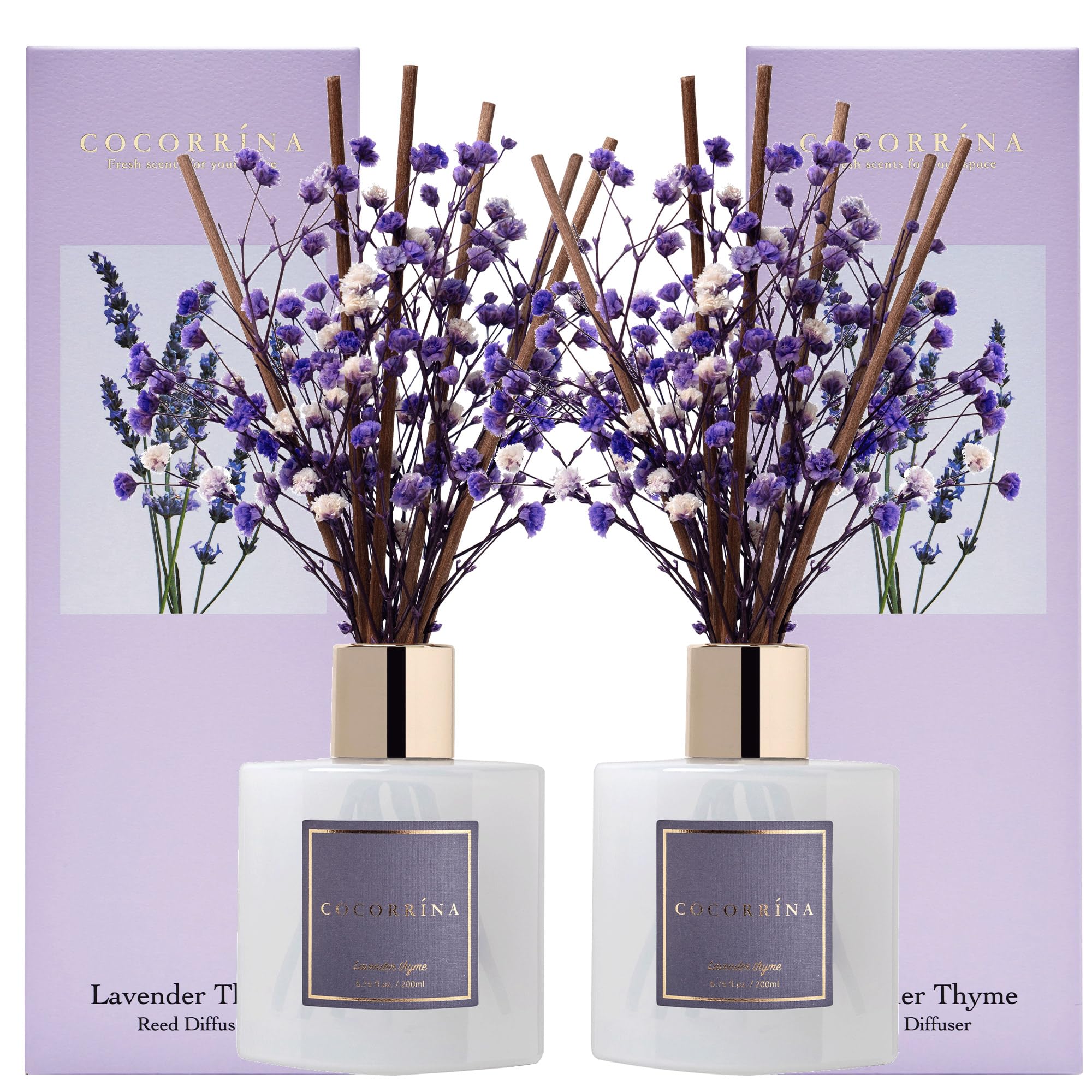 COCORRÍNA babies-breath diffuser with lavender thyme for calming home fragrance