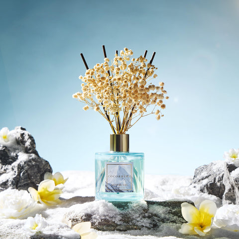 Elegant gift-ready packaging makes it a thoughtful housewarming or birthday present