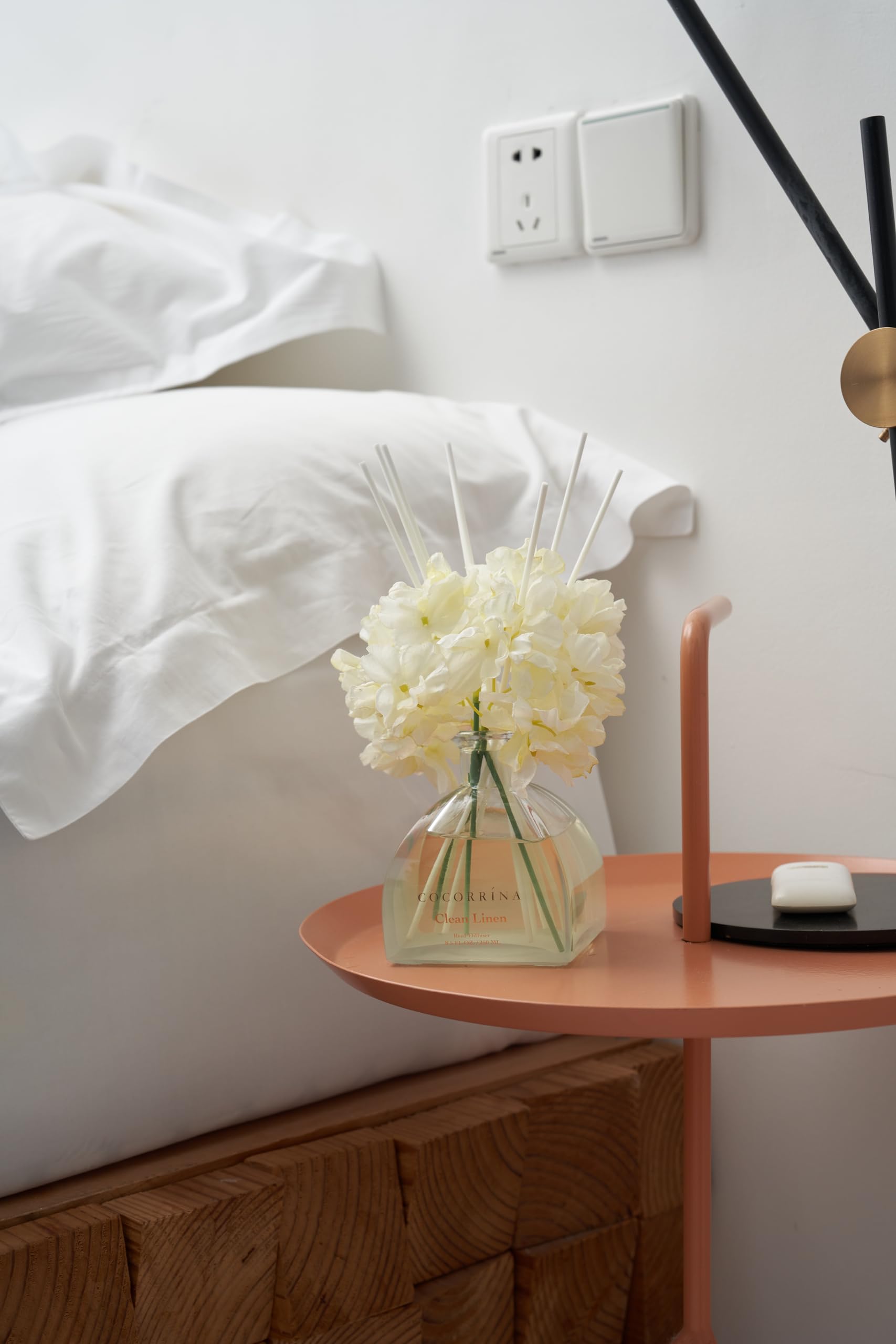 COCORRÍNA Living-room ambience captured with the diffuser and 8 sticks.