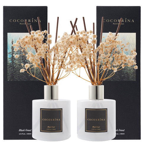 Cocorrína premium reed diffuser Black Forest two-pack for lasting home fragrance.