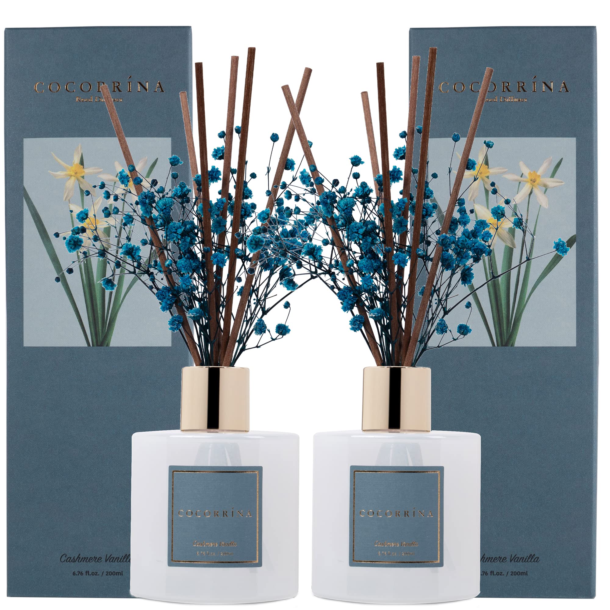 Cocorrína premium reed diffuser set with preserved baby's breath and cotton sticks in a cozy setting