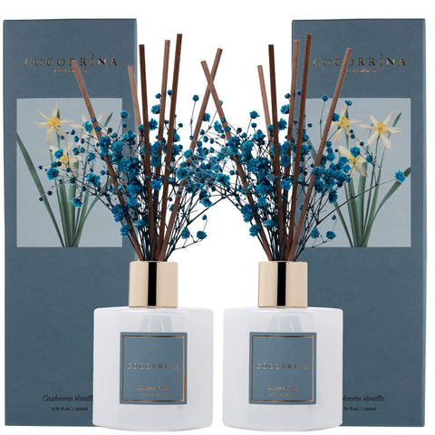 Cocorrína premium reed diffuser set with preserved baby's breath and cotton sticks in a cozy setting