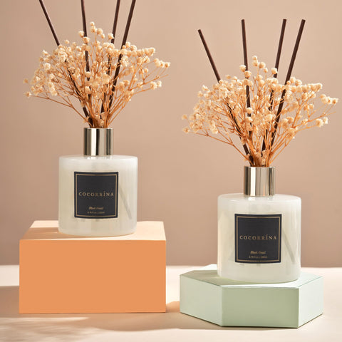 Cocorrína diffuser with preserved baby's breath and reeds for decorative scent.