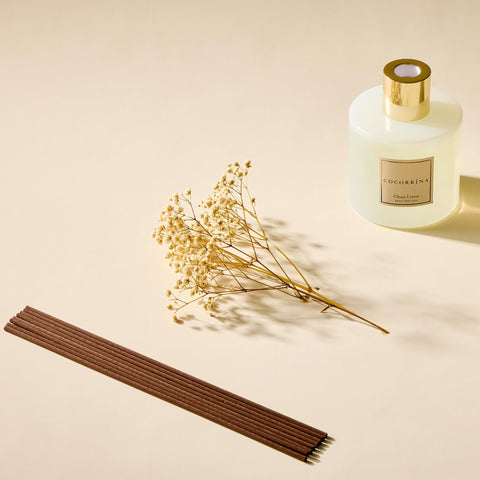 COCORRÍNA preserved flowers close-up adds natural decor accents.