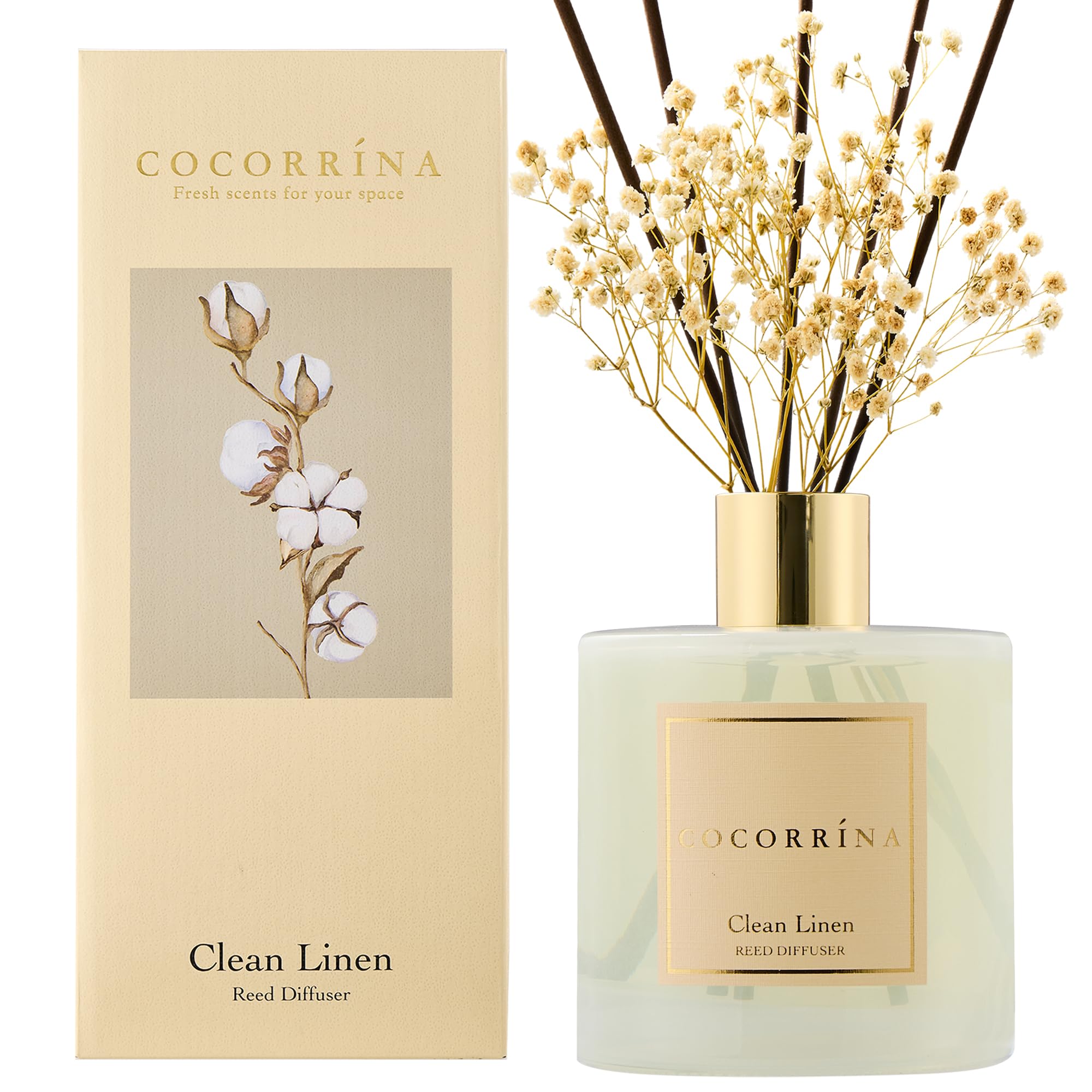 COCORRÍNA preserved flowers diffuser adds lasting decor and scent.