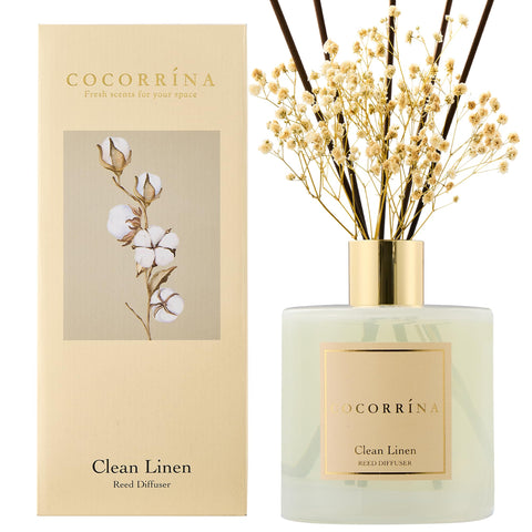 COCORRÍNA preserved flowers diffuser adds lasting decor and scent.