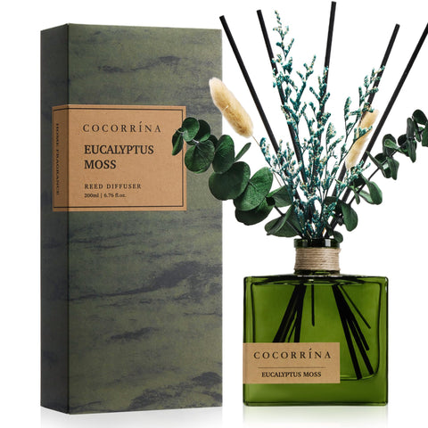 COCORRÍNA reed diffuser bottle with dried flowers delivers long-lasting eucalyptus-moss fragrance.