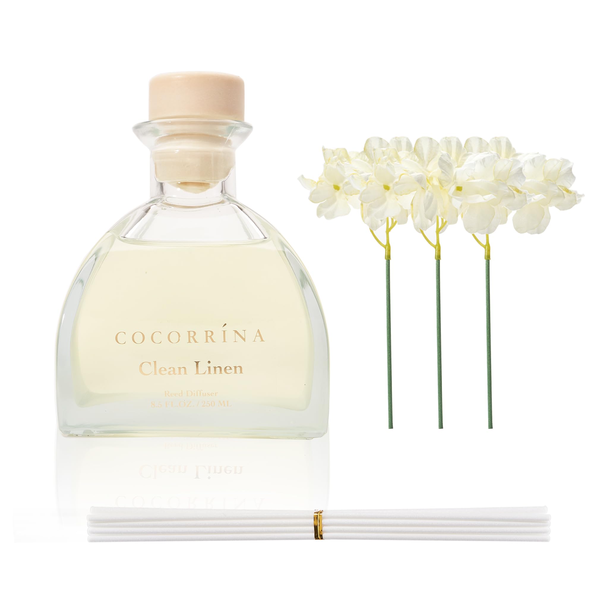 COCORRÍNA Reed Diffuser front view showcases Simple Luxe aesthetics for living spaces.