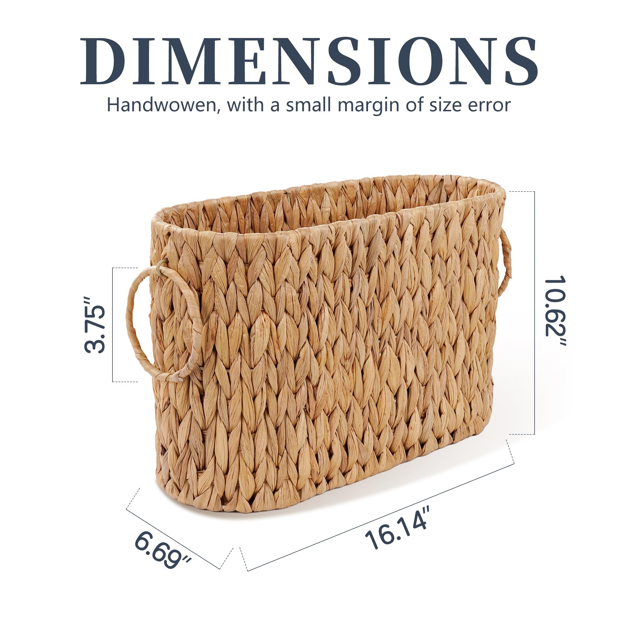Coeusy 6 mega-roll capacity ensures backup rolls are always within reach