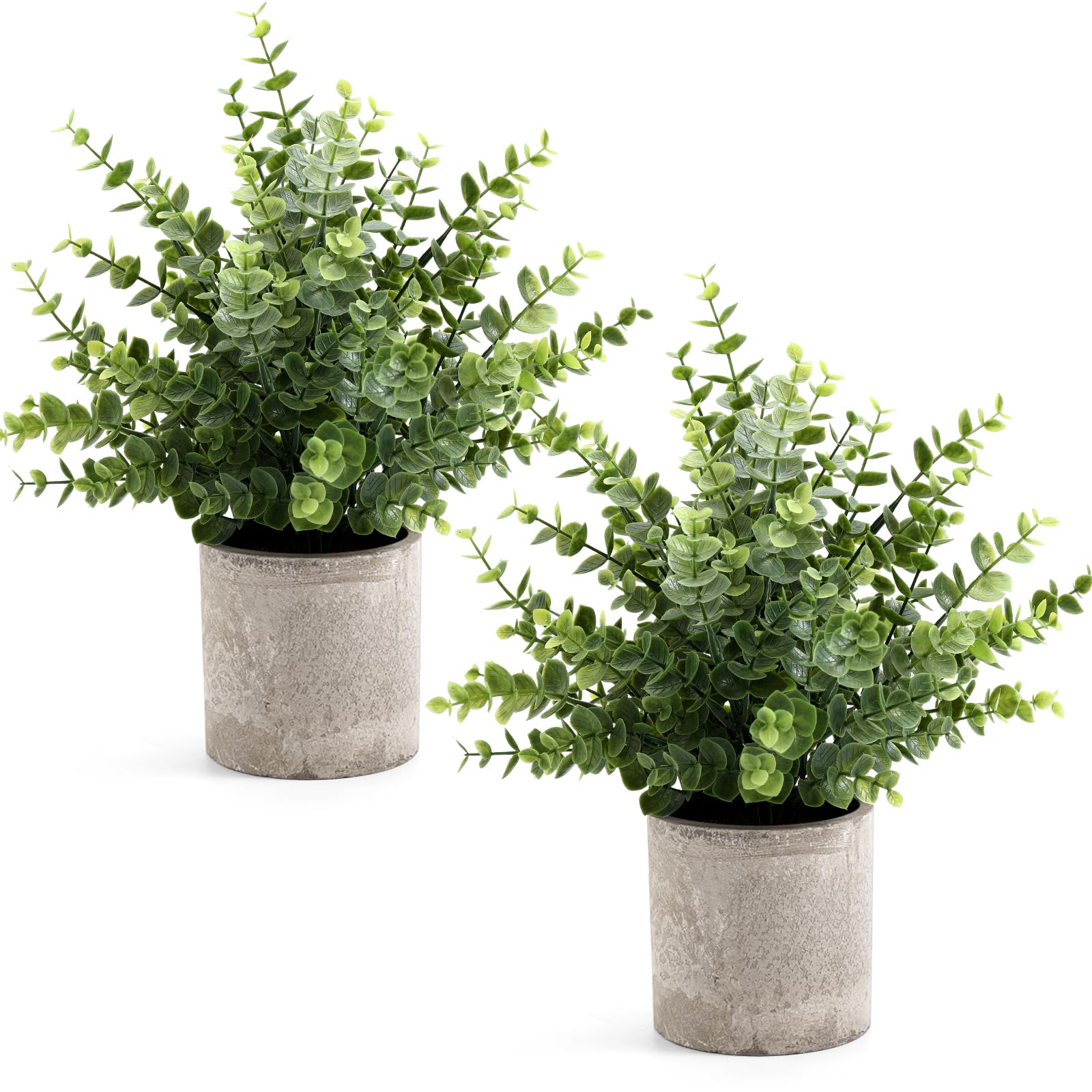 Coferset eucalyptus 14-inch plant front view adds low-maintenance greenery