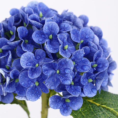 Coferset Hydrangea 20-inch stem setup showcases flexible stems for DIY vase arrangements.