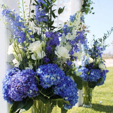 Coferset Hydrangea living room accents provide lush greenery without maintenance.