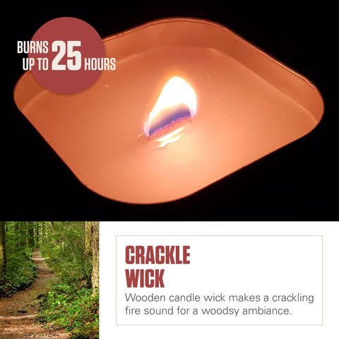 Coleman pine-scented candle in use outdoors enhances backyard evenings with natural fragrance.