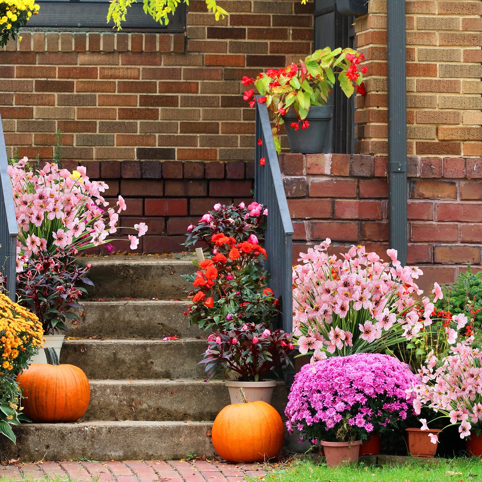 ColoPlay 24 Peach Bundles window box arrangement for versatile styling