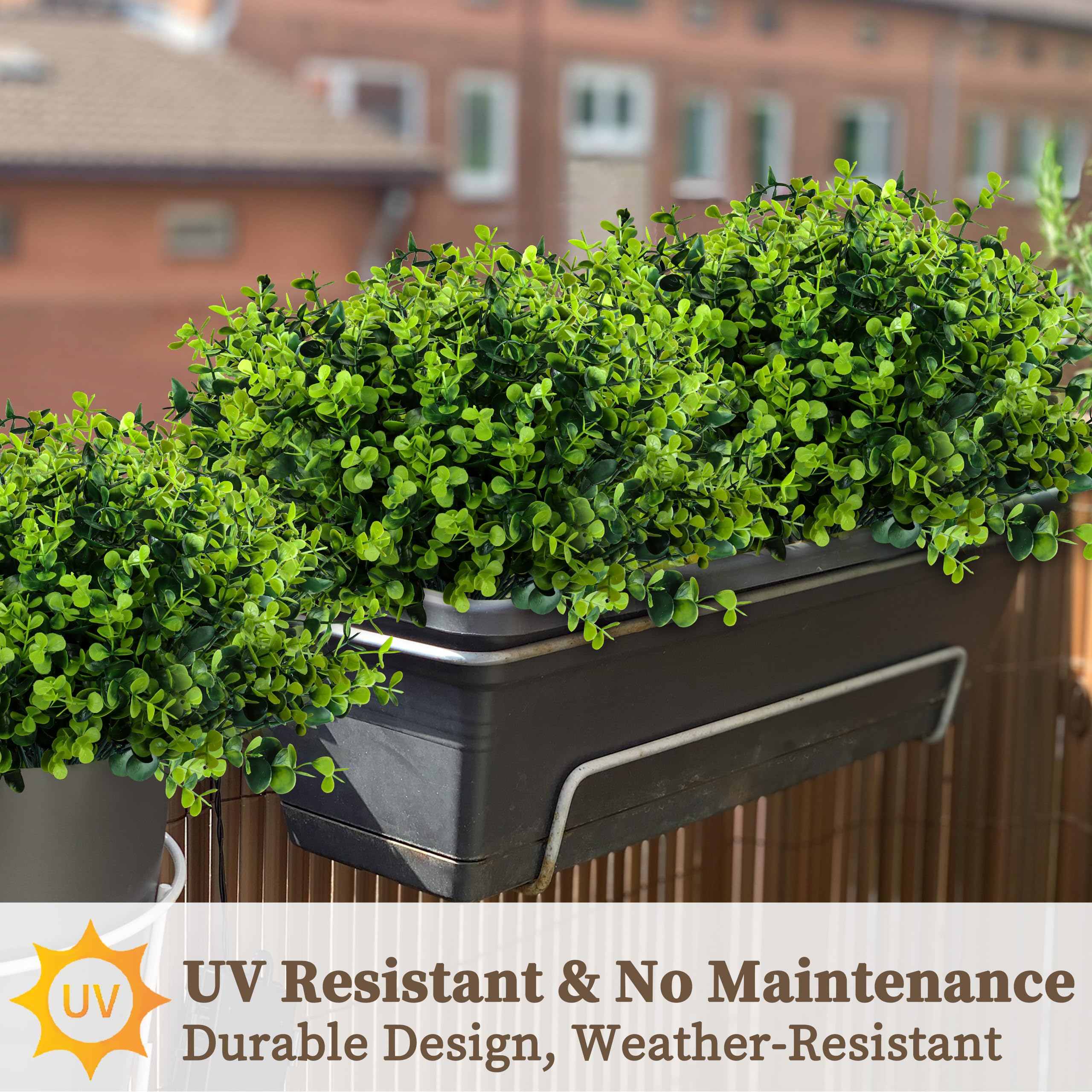 ColoPlay boxwood window box display with UV-stable leaves