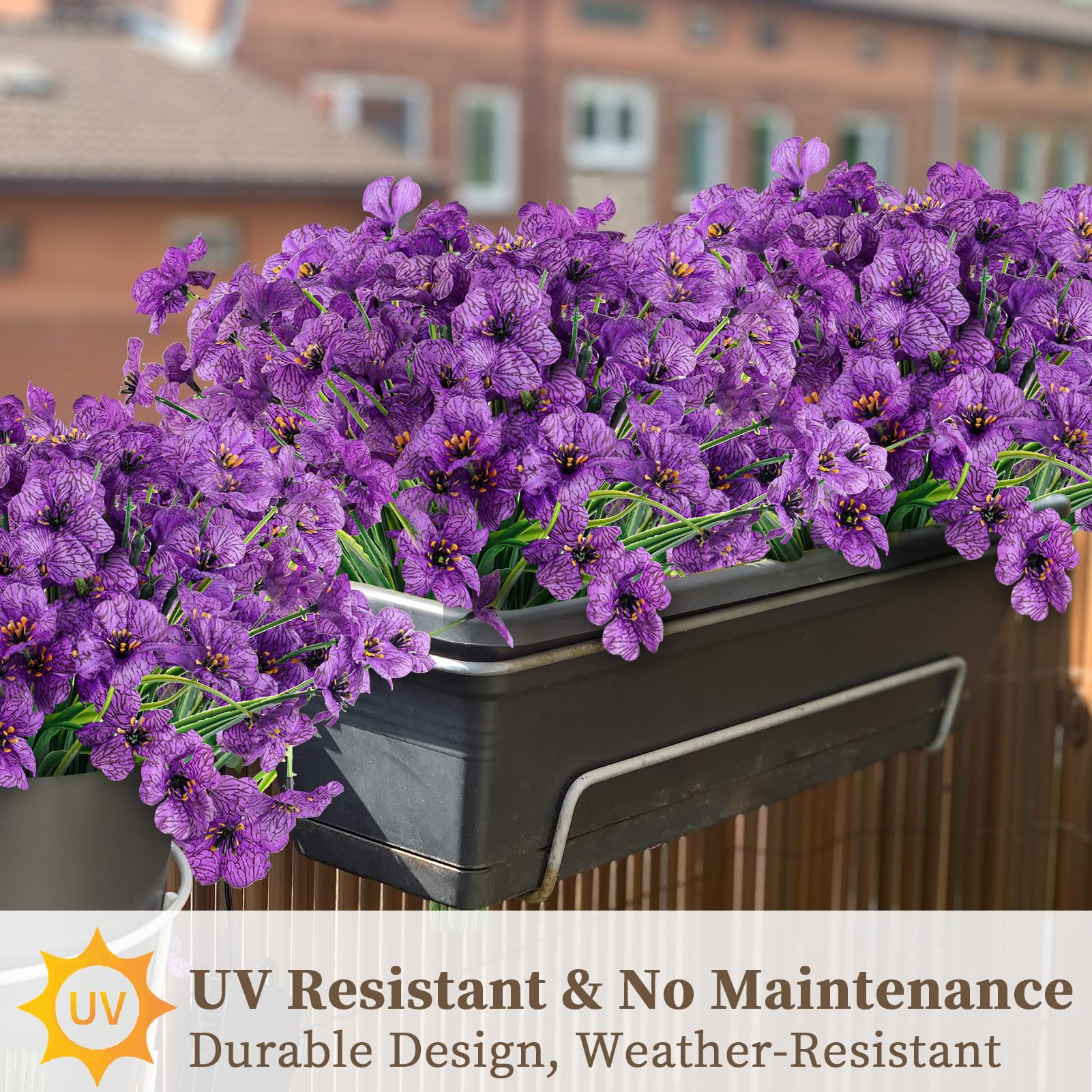ColoPlay indoor display ideal for windowsills and events.