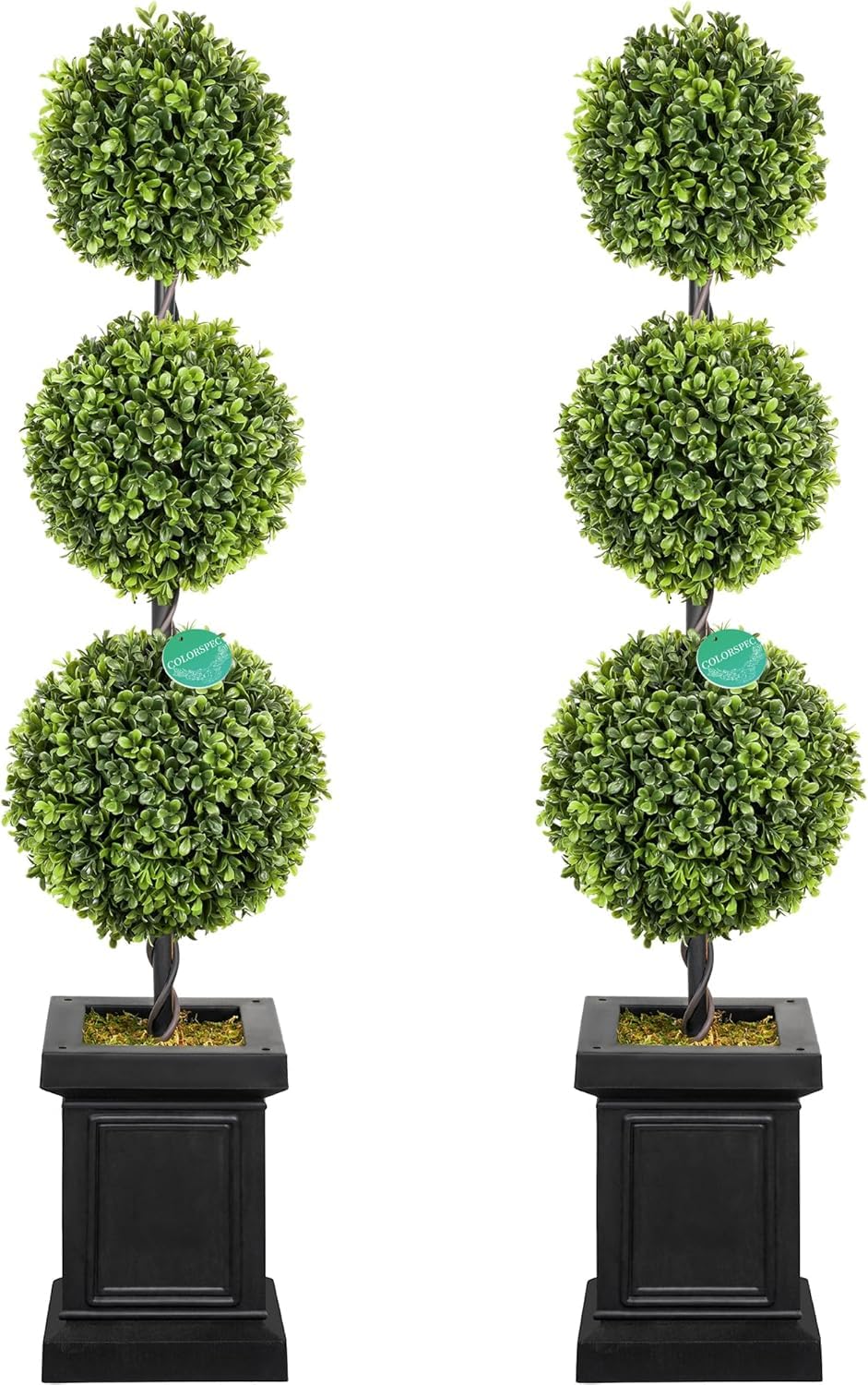 Colorspec Boxwood Topiary 2-Pack with lush foliage for year-round curb appeal, front doors, and indoor corners.