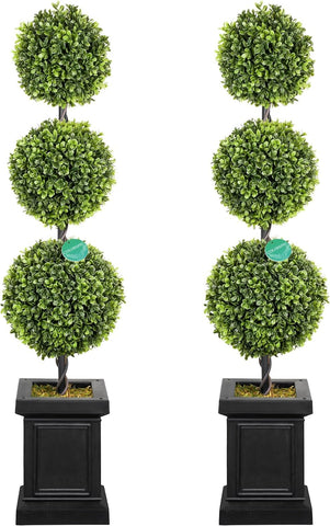 Colorspec Boxwood Topiary 2-Pack with lush foliage for year-round curb appeal, front doors, and indoor corners.