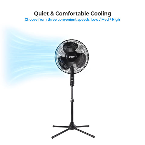 Comfort Zone black pedestal fan design complements modern decor.